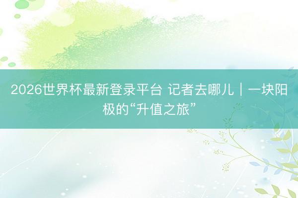 2026世界杯最新登录平台 记者去哪儿｜一块阳极的“升值之旅”