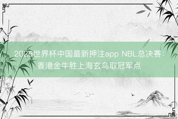 2026世界杯中国最新押注app NBL总决赛:香港金牛胜上海玄鸟取冠军点