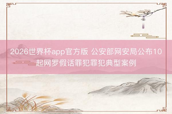2026世界杯app官方版 公安部网安局公布10起网罗假话罪犯罪犯典型案例