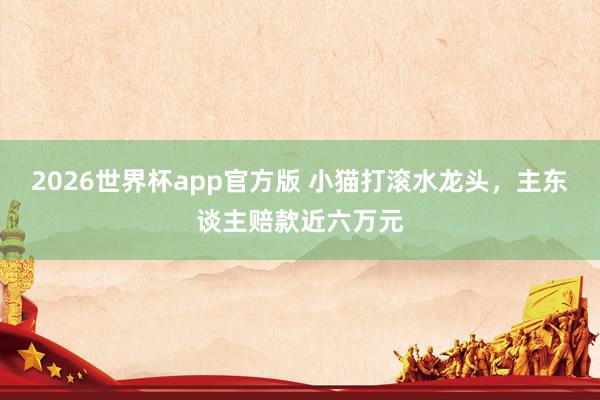 2026世界杯app官方版 小猫打滚水龙头,主东谈主赔款近六万元