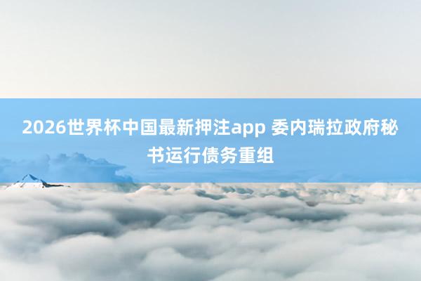2026世界杯中国最新押注app 委内瑞拉政府秘书运行债务重组