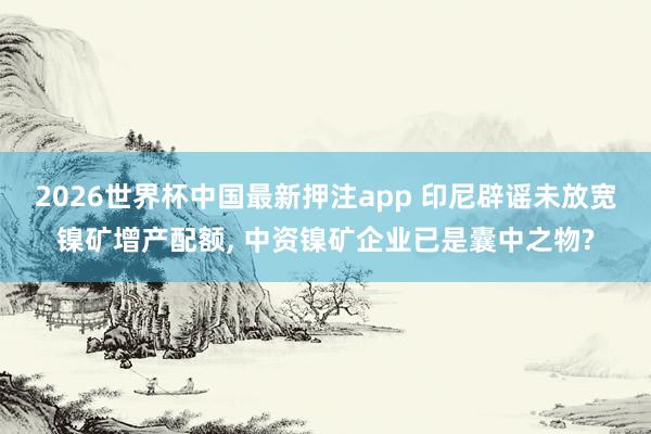 2026世界杯中国最新押注app 印尼辟谣未放宽镍矿增产配额， 中资镍矿企业已是囊中之物?
