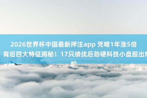 2026世界杯中国最新押注app 凭啥1年涨5倍?背后四大特征揭秘!17只绩优后劲硬科技小盘股出炉